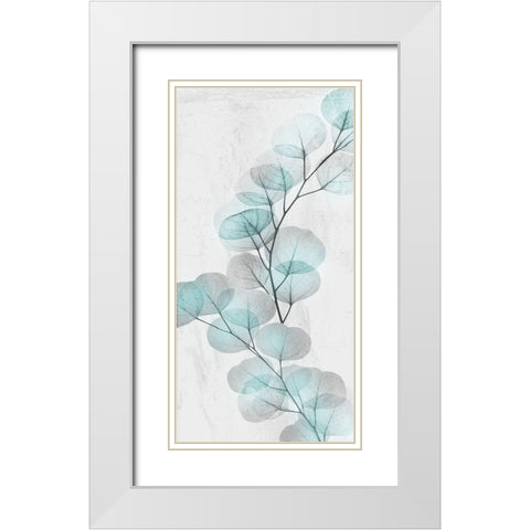 Eucalyptus Glow 2 White Modern Wood Framed Art Print with Double Matting by Koetsier, Albert