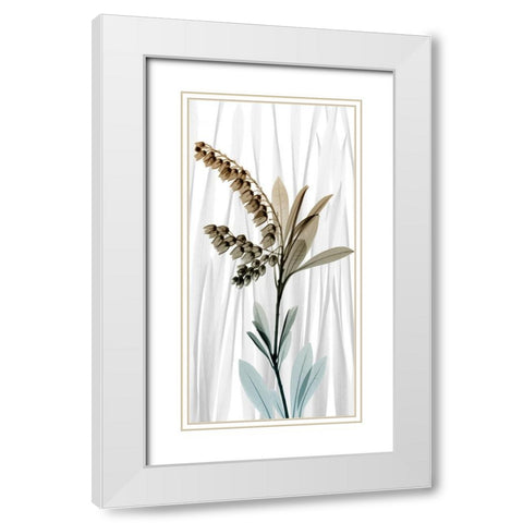 Suave Snowdrops 1 White Modern Wood Framed Art Print with Double Matting by Koetsier, Albert