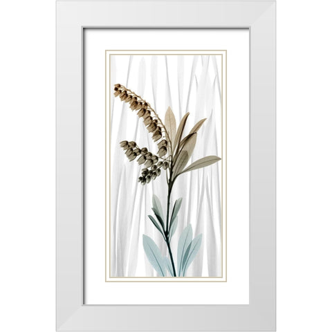 Suave Snowdrops 1 White Modern Wood Framed Art Print with Double Matting by Koetsier, Albert