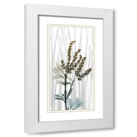 Suave Snowdrops 2 White Modern Wood Framed Art Print with Double Matting by Koetsier, Albert