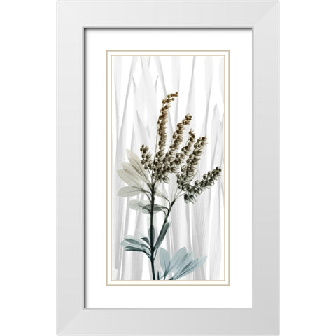 Suave Snowdrops 2 White Modern Wood Framed Art Print with Double Matting by Koetsier, Albert