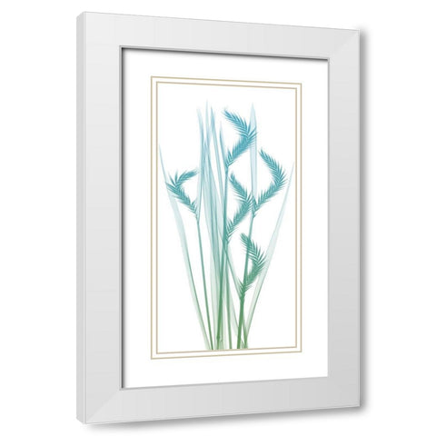 Serene Flourish 1 White Modern Wood Framed Art Print with Double Matting by Koetsier, Albert