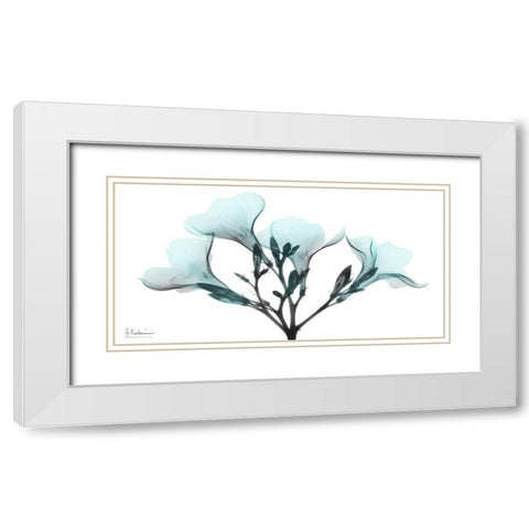 Oleander Mist 1 White Modern Wood Framed Art Print with Double Matting by Koetsier, Albert