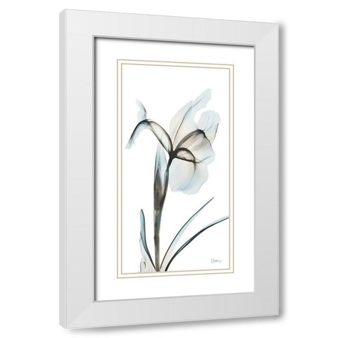 Sea Infused Iris 2 White Modern Wood Framed Art Print with Double Matting by Koetsier, Albert