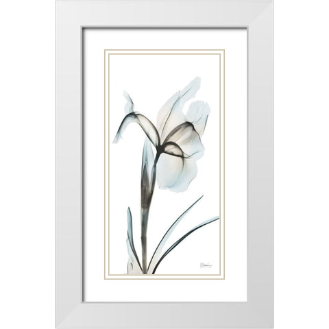 Sea Infused Iris 2 White Modern Wood Framed Art Print with Double Matting by Koetsier, Albert