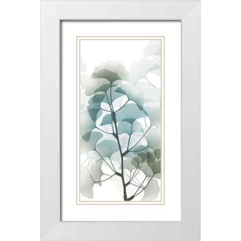 Sea Breeze Ginko 1 White Modern Wood Framed Art Print with Double Matting by Koetsier, Albert