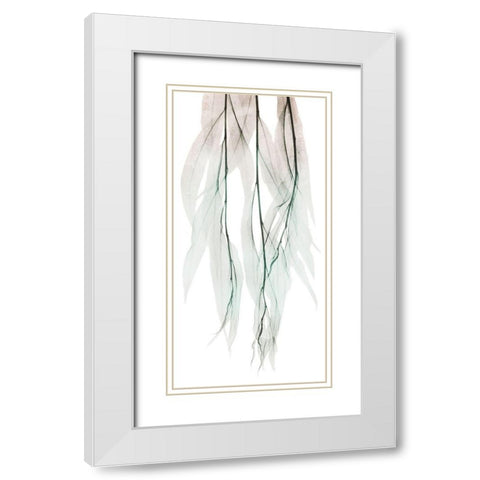 Seashore Growth 1 White Modern Wood Framed Art Print with Double Matting by Koetsier, Albert