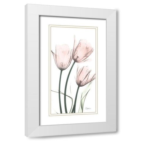 Strawberry Infused Tulips White Modern Wood Framed Art Print with Double Matting by Koetsier, Albert