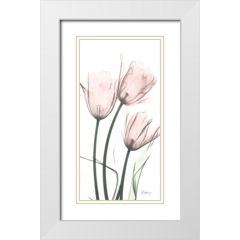 Strawberry Infused Tulips White Modern Wood Framed Art Print with Double Matting by Koetsier, Albert