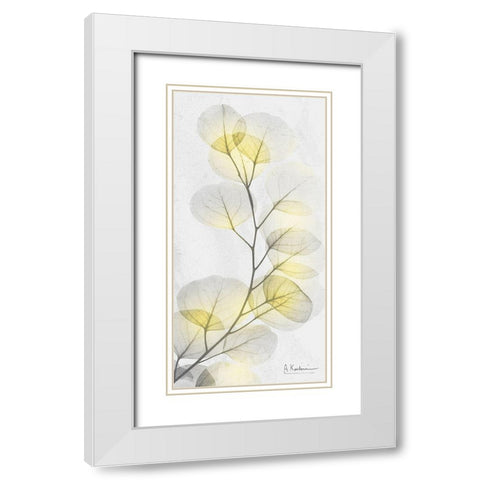 Eucalyptus Sunshine 1 White Modern Wood Framed Art Print with Double Matting by Koetsier, Albert