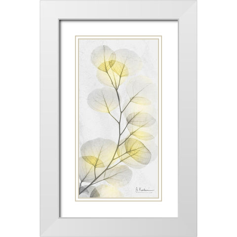 Eucalyptus Sunshine 1 White Modern Wood Framed Art Print with Double Matting by Koetsier, Albert