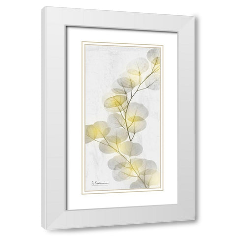 Eucalyptus Sunshine 2 White Modern Wood Framed Art Print with Double Matting by Koetsier, Albert