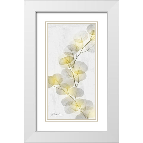 Eucalyptus Sunshine 2 White Modern Wood Framed Art Print with Double Matting by Koetsier, Albert