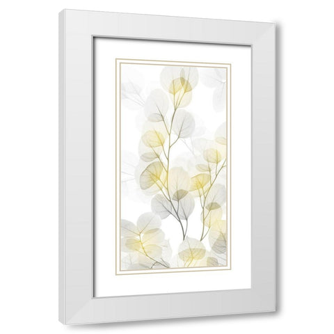 Bright Reach 1 White Modern Wood Framed Art Print with Double Matting by Koetsier, Albert