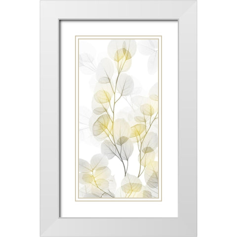 Bright Reach 1 White Modern Wood Framed Art Print with Double Matting by Koetsier, Albert