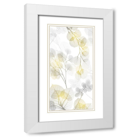 Bright Reach 2 White Modern Wood Framed Art Print with Double Matting by Koetsier, Albert