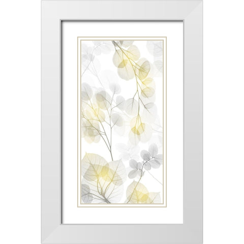 Bright Reach 2 White Modern Wood Framed Art Print with Double Matting by Koetsier, Albert