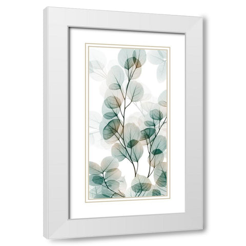 Natural Reach 1 White Modern Wood Framed Art Print with Double Matting by Koetsier, Albert