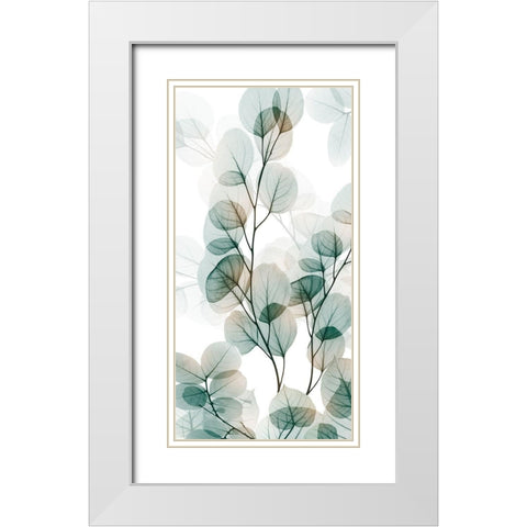 Natural Reach 1 White Modern Wood Framed Art Print with Double Matting by Koetsier, Albert