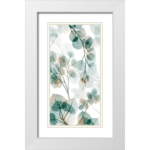 Natural Reach 2 White Modern Wood Framed Art Print with Double Matting by Koetsier, Albert