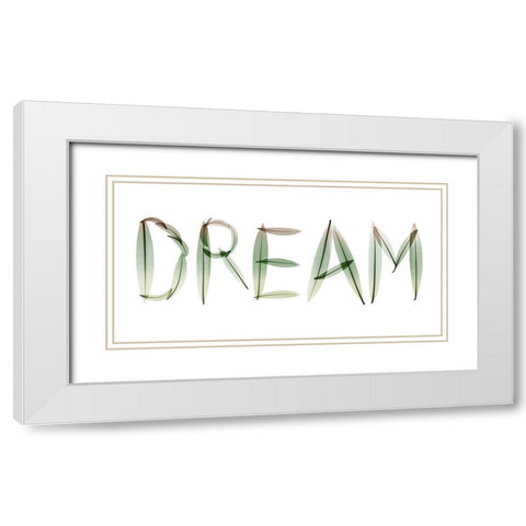 Dream White Modern Wood Framed Art Print with Double Matting by Koetsier, Albert