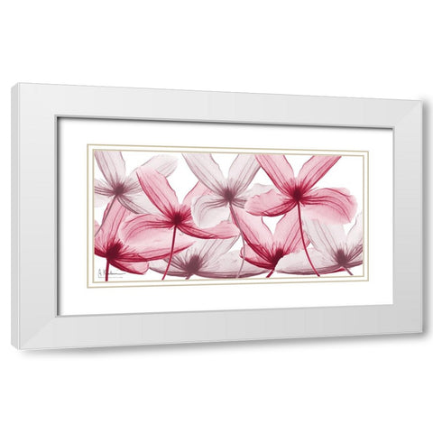 Bright Established Continuation White Modern Wood Framed Art Print with Double Matting by Koetsier, Albert