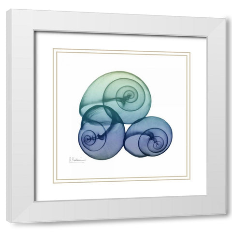 Sea Sky Snails White Modern Wood Framed Art Print with Double Matting by Koetsier, Albert