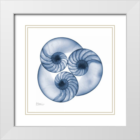 Indigo Nautilus Trio White Modern Wood Framed Art Print with Double Matting by Koetsier, Albert