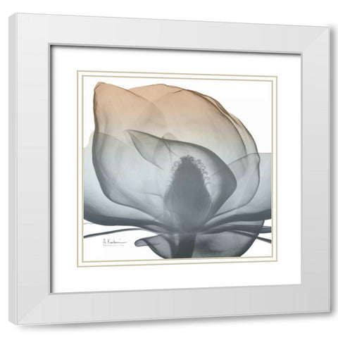 Magnolia Earthy Beauty New White Modern Wood Framed Art Print with Double Matting by Koetsier, Albert