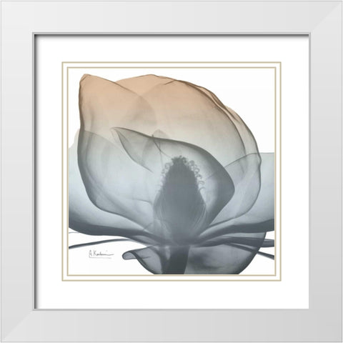 Magnolia Earthy Beauty New White Modern Wood Framed Art Print with Double Matting by Koetsier, Albert