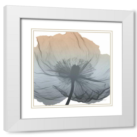 Poppy Earthy Beauty White Modern Wood Framed Art Print with Double Matting by Koetsier, Albert