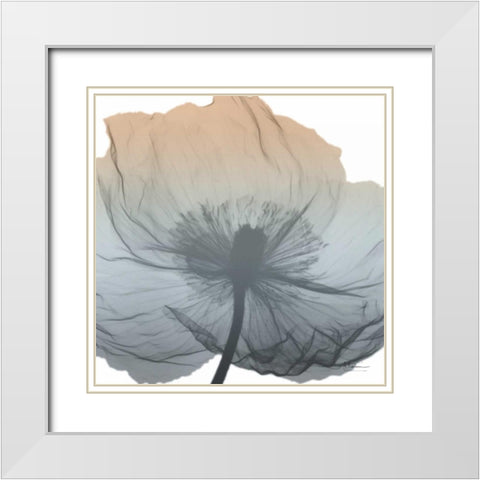 Poppy Earthy Beauty White Modern Wood Framed Art Print with Double Matting by Koetsier, Albert