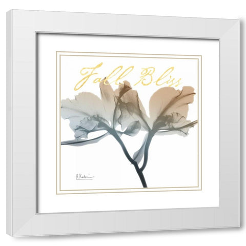 Blessed Orchid White Modern Wood Framed Art Print with Double Matting by Koetsier, Albert