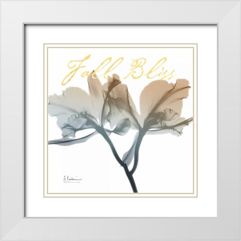 Blessed Orchid White Modern Wood Framed Art Print with Double Matting by Koetsier, Albert