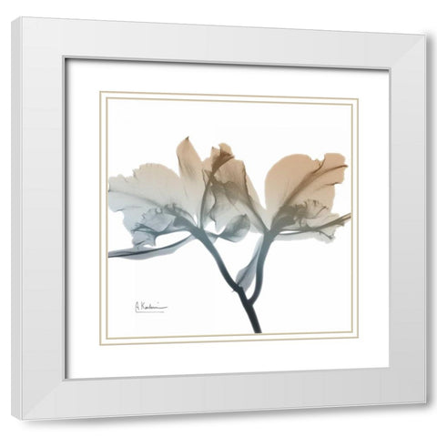 Earthy Orchid White Modern Wood Framed Art Print with Double Matting by Koetsier, Albert