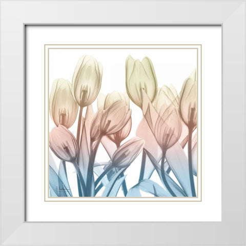 Fantastic Bloom White Modern Wood Framed Art Print with Double Matting by Koetsier, Albert