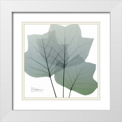 Rainy Tulip Tree White Modern Wood Framed Art Print with Double Matting by Koetsier, Albert