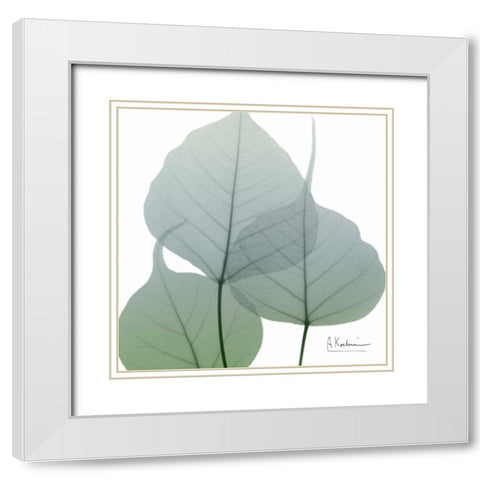 Rainy Bo Tree White Modern Wood Framed Art Print with Double Matting by Koetsier, Albert