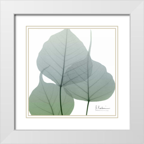 Rainy Bo Tree White Modern Wood Framed Art Print with Double Matting by Koetsier, Albert