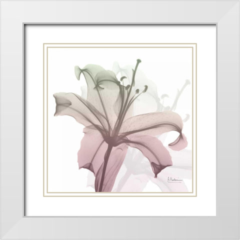 Neapolitan Lily White Modern Wood Framed Art Print with Double Matting by Koetsier, Albert