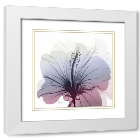 Tasty Grape Hibiscus White Modern Wood Framed Art Print with Double Matting by Koetsier, Albert