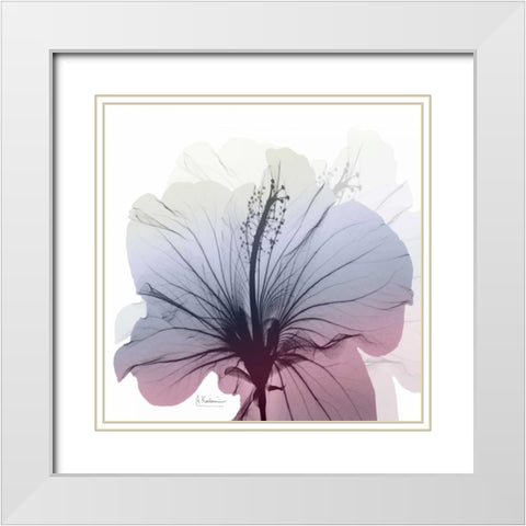 Tasty Grape Hibiscus White Modern Wood Framed Art Print with Double Matting by Koetsier, Albert