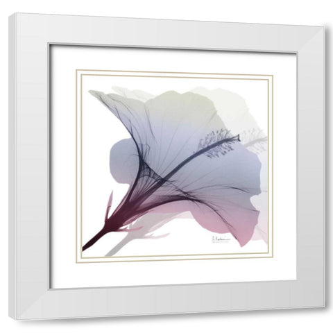 Tasty Grape Hibiscus 2 White Modern Wood Framed Art Print with Double Matting by Koetsier, Albert