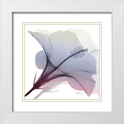 Tasty Grape Hibiscus 2 White Modern Wood Framed Art Print with Double Matting by Koetsier, Albert