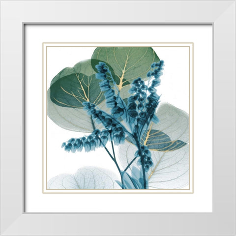 Golden Lilly Of Eucalyptus 2 White Modern Wood Framed Art Print with Double Matting by Koetsier, Albert