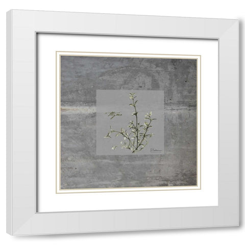 Concrete Thyme White Modern Wood Framed Art Print with Double Matting by Koetsier, Albert