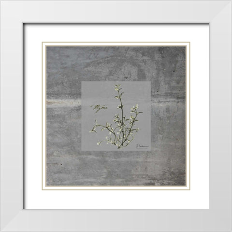 Concrete Thyme White Modern Wood Framed Art Print with Double Matting by Koetsier, Albert