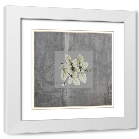 Concrete Basil White Modern Wood Framed Art Print with Double Matting by Koetsier, Albert