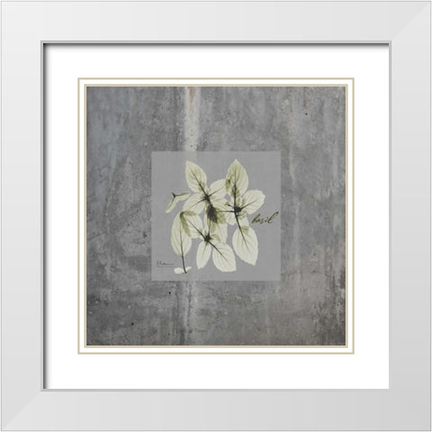 Concrete Basil White Modern Wood Framed Art Print with Double Matting by Koetsier, Albert