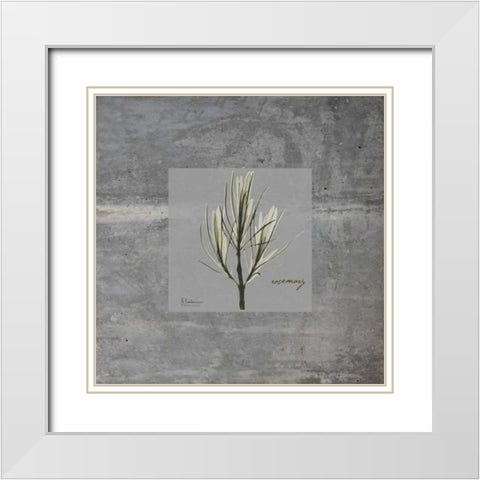 Concrete Rosemary White Modern Wood Framed Art Print with Double Matting by Koetsier, Albert